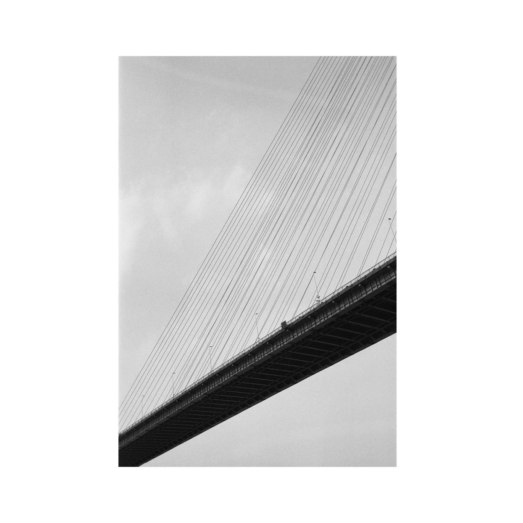 Yangpu Bridge - 1