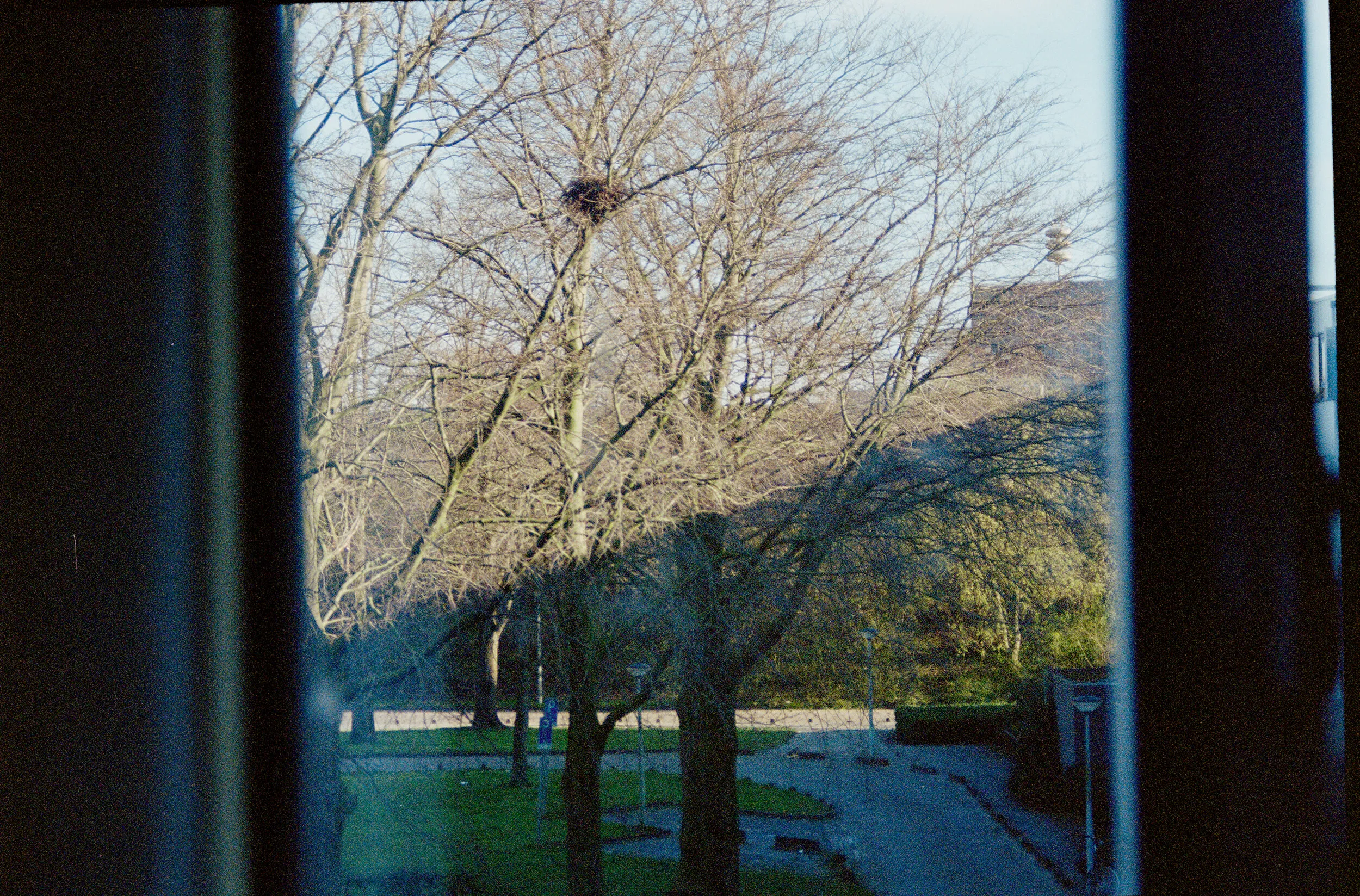 Reigersbos - 2