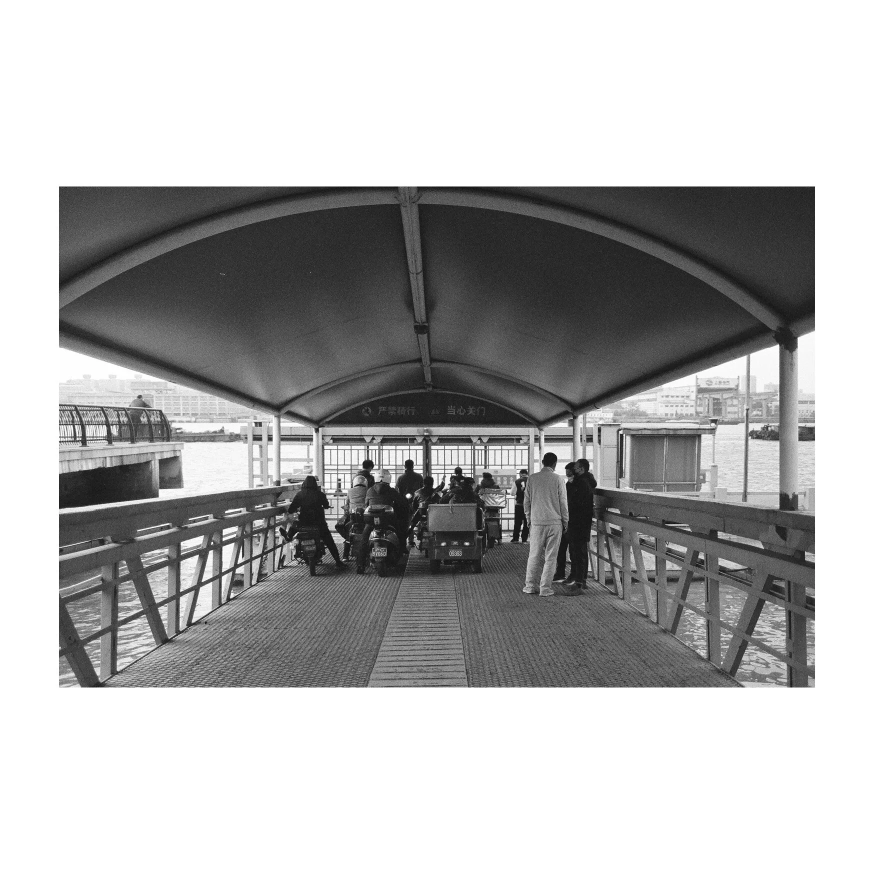 Yangpu Bridge - 2