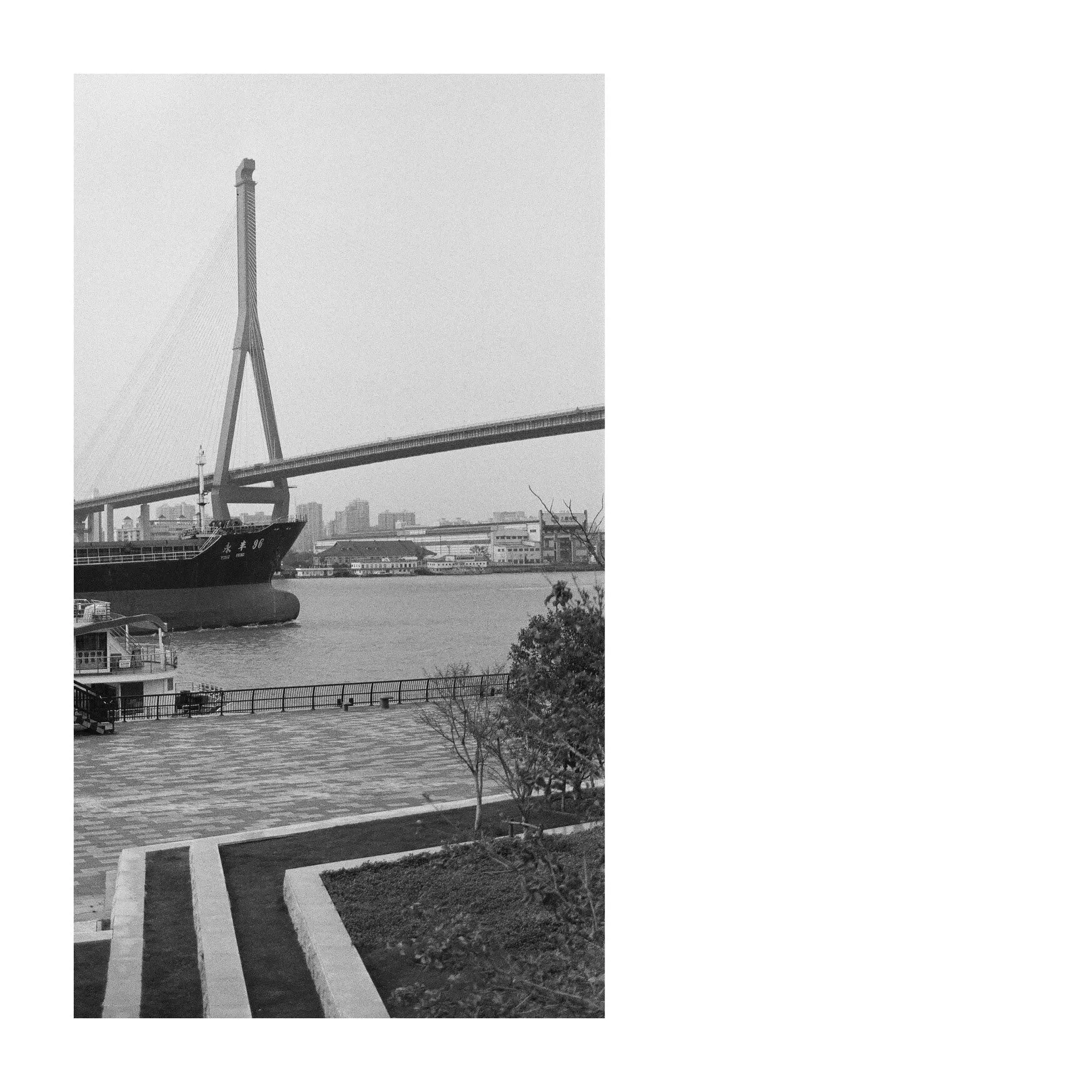 Yangpu Bridge - 5