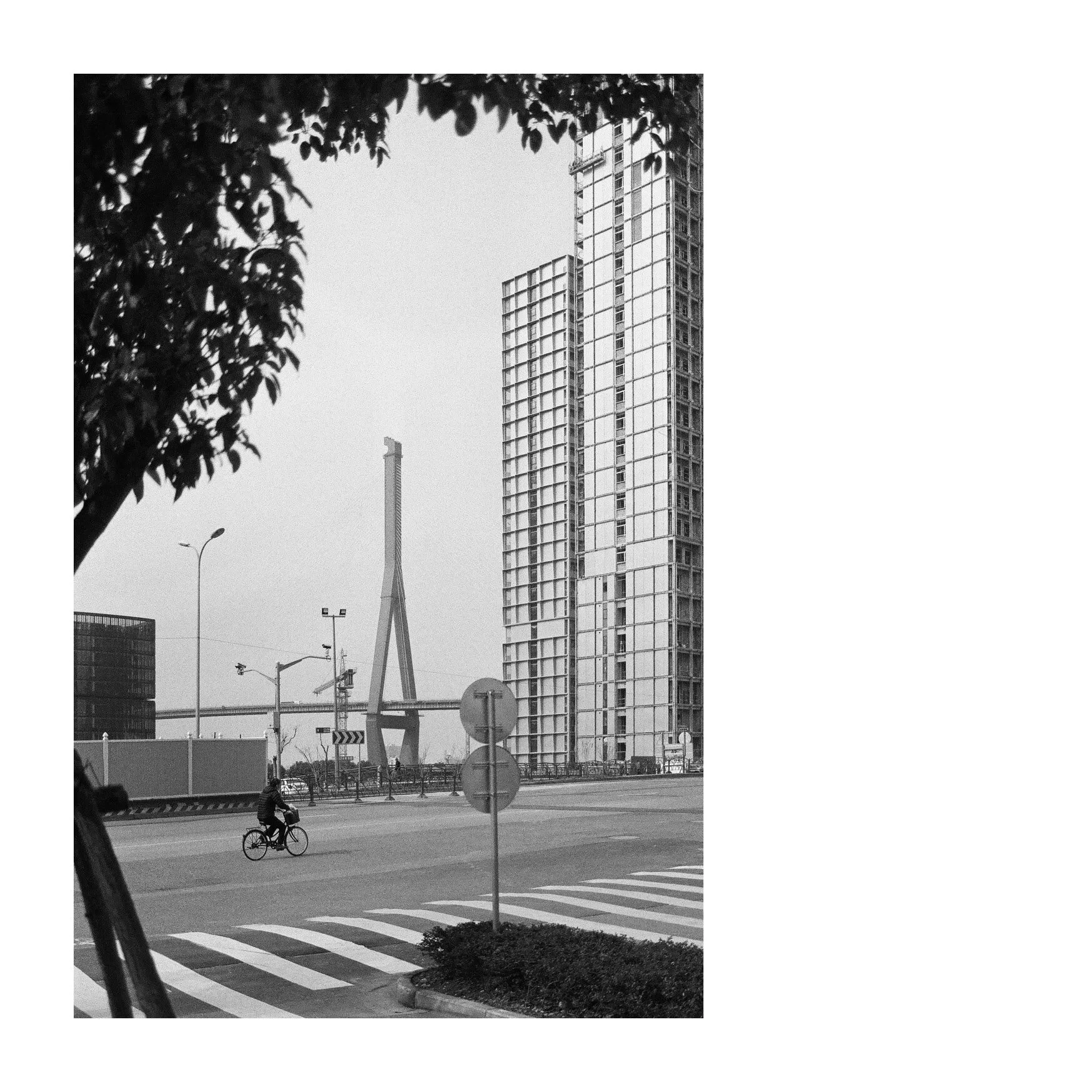 Yangpu Bridge - 7