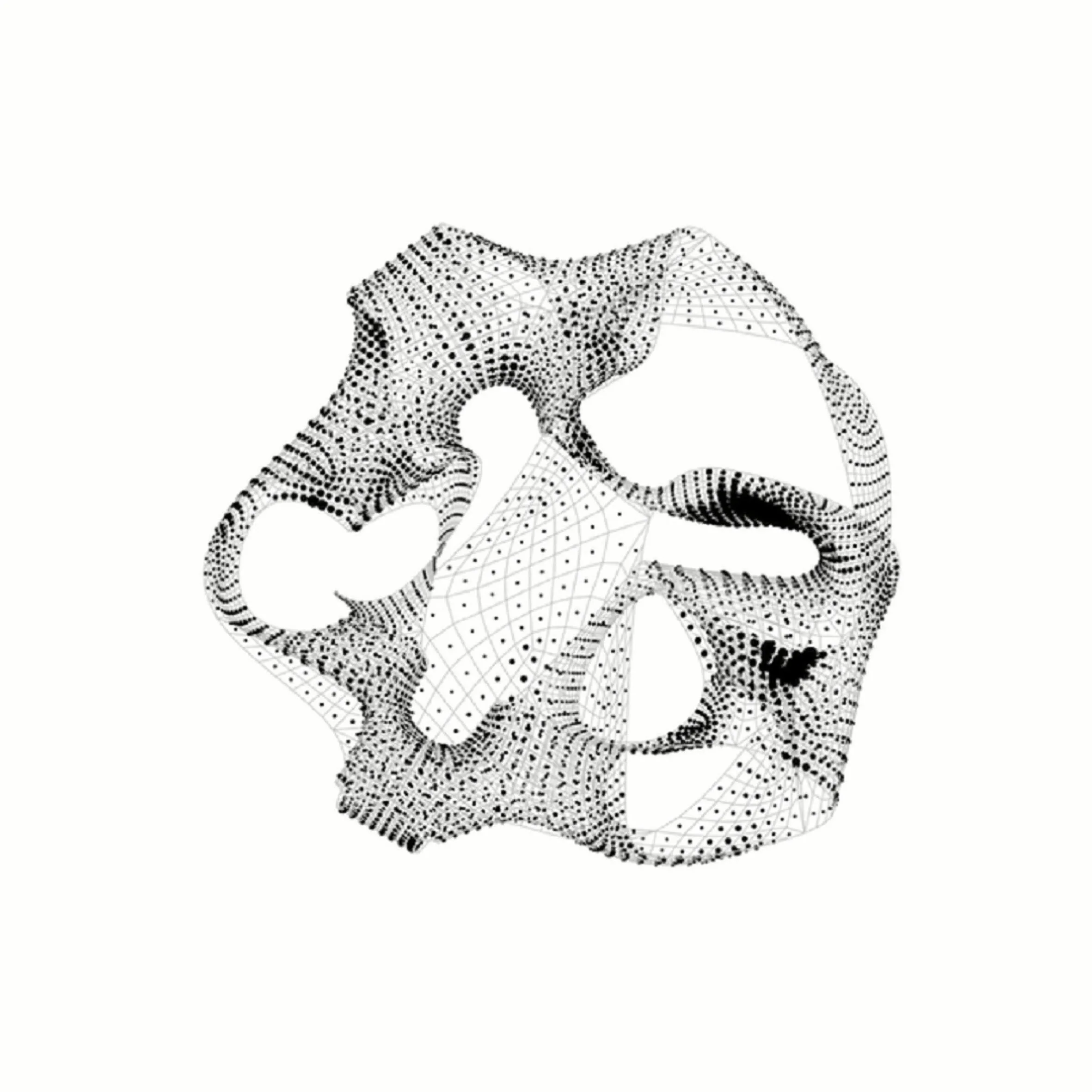 stress intensity field